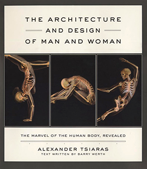 Architecture and Design of Man and Woman